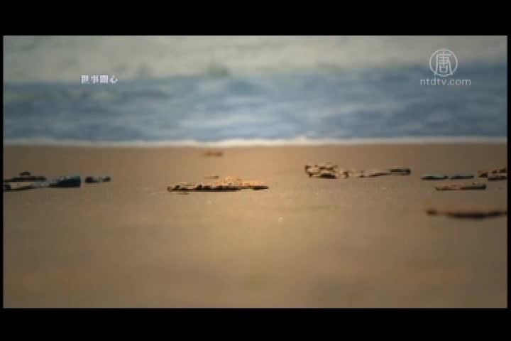 Thumbnail image for Falun Gong Stories