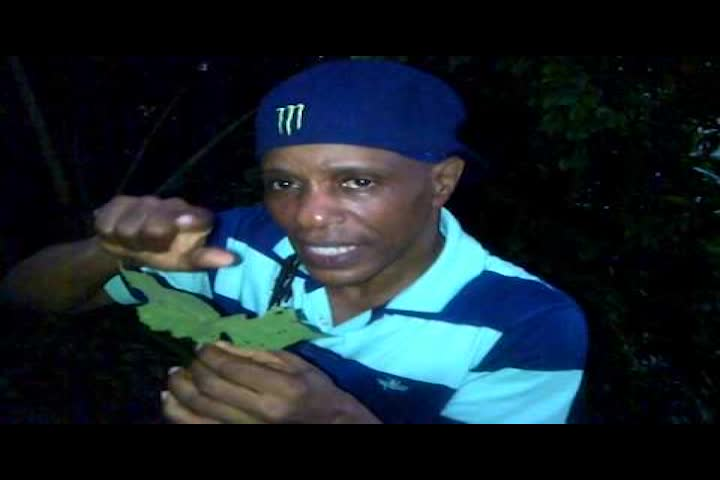 Thumbnail image for CaribNation