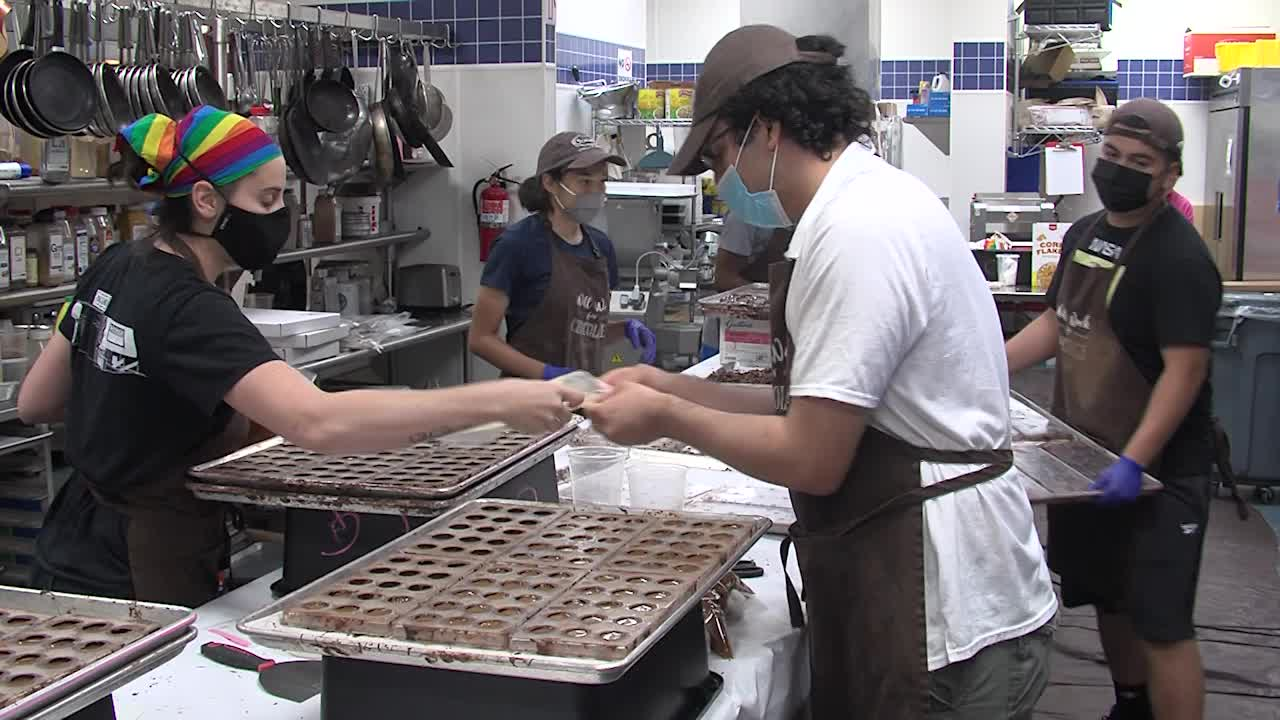 Thumbnail image for MCOL: Chocolate Covered Cicadas