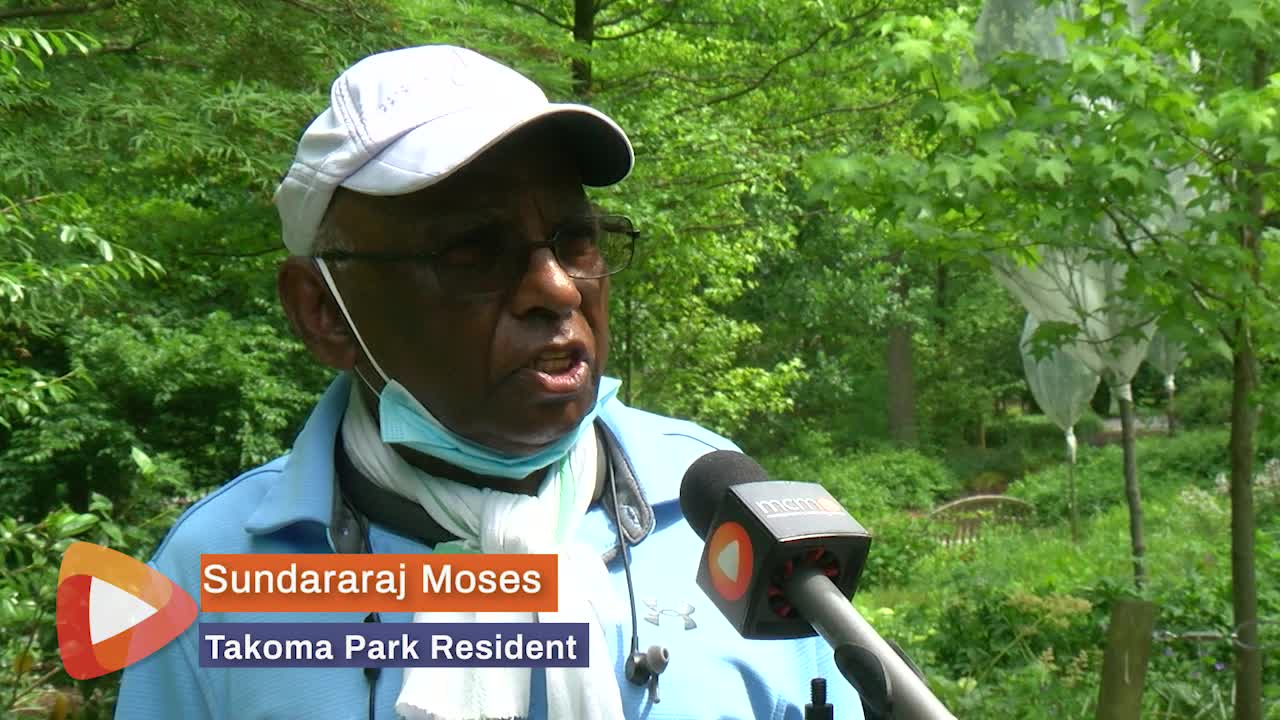 Thumbnail image for MCOL: Brookside Garden's Phil Normandy Talks Cicadas