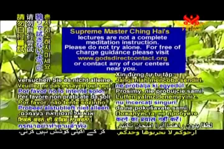 Thumbnail image for A Journey Through Aesthetic Realms: "The Way To Get Out Of The Life & Death Cycle 4"