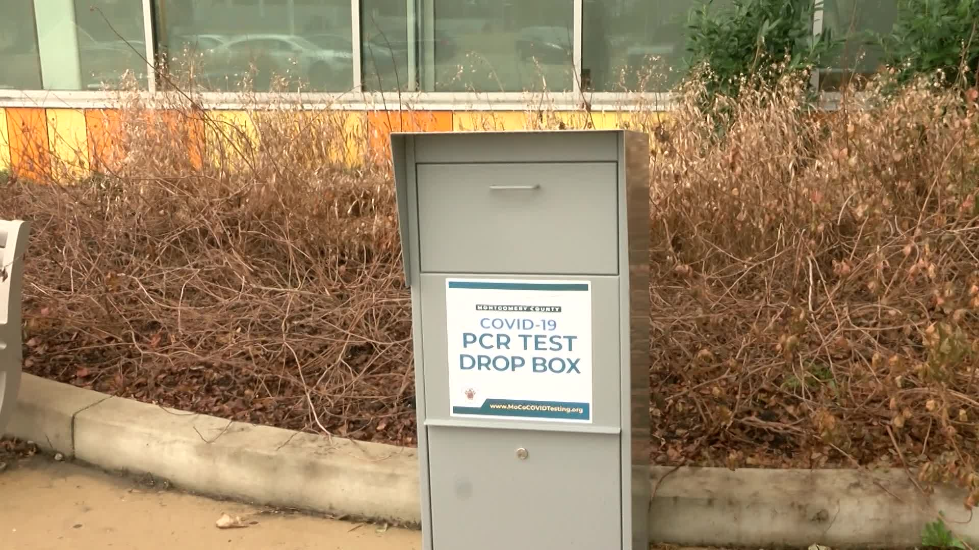 Thumbnail image for MCOL: At Home PCR Tests