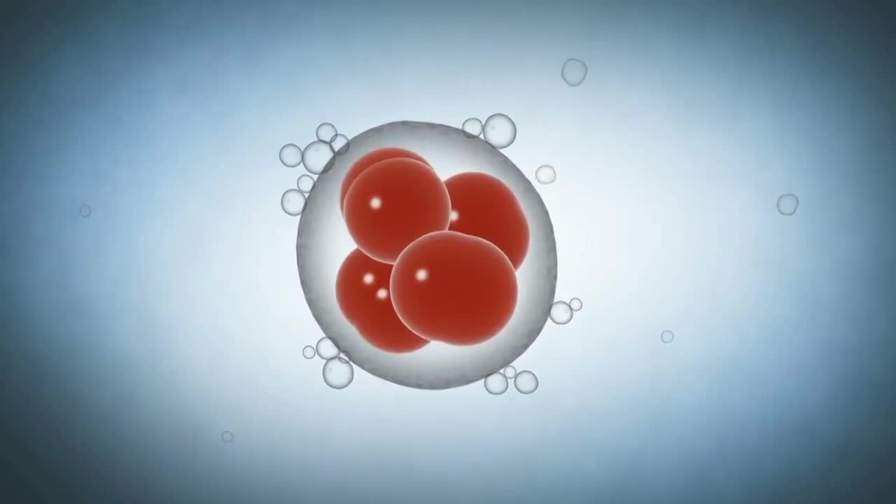 Thumbnail image for Armor of God