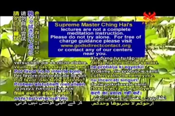 Thumbnail image for A Journey Through Aesthetic Realms