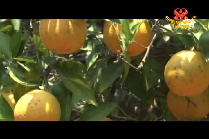 Thumbnail image for Healthy Living