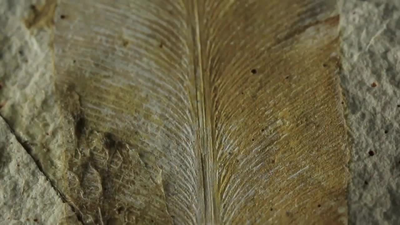 Thumbnail image for Armor of God