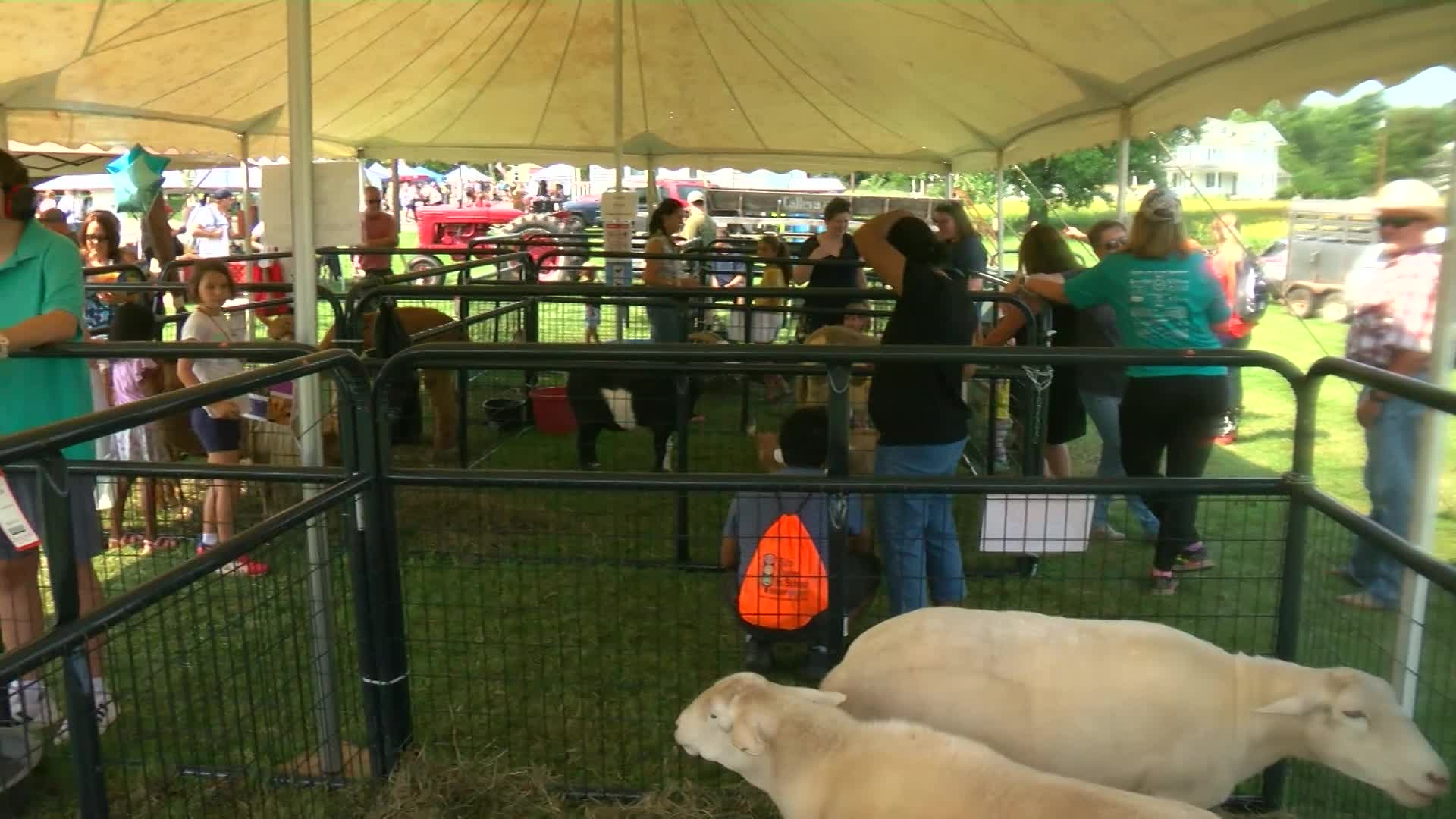 Thumbnail image for MCOL: Poolesville Day - SPAN