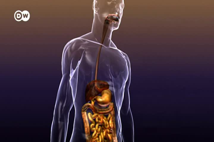 Thumbnail image for In Good Shape