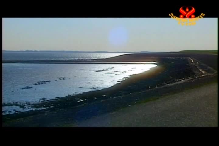 Thumbnail image for Vegetarianism, The Noble Way of Living