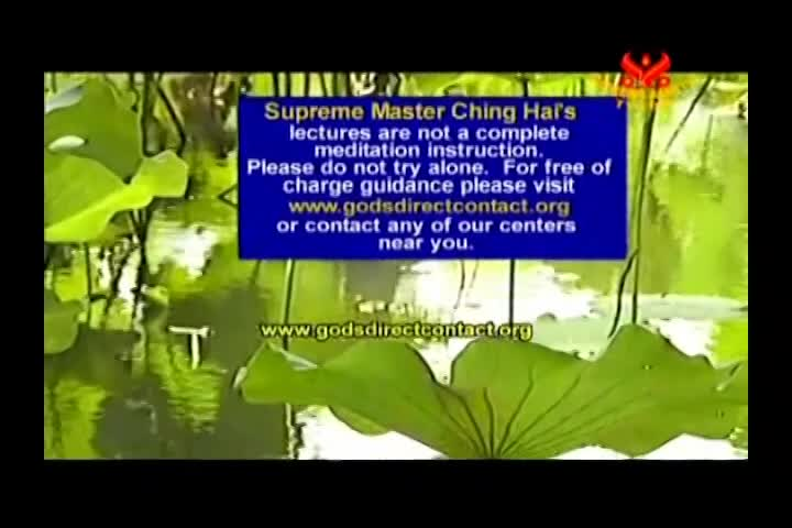 A Journey Through Aesthetic Realms