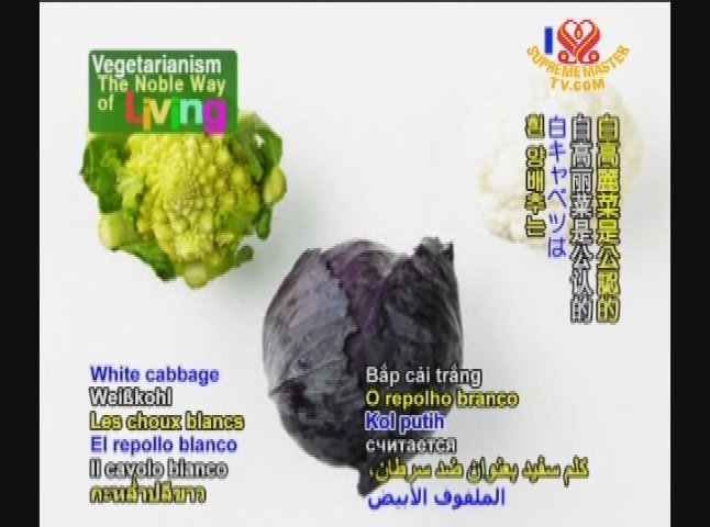 Thumbnail image for Vegetarianism, The Noble Way of Living