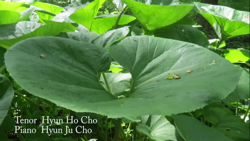 Thumbnail image for HIS GLORY