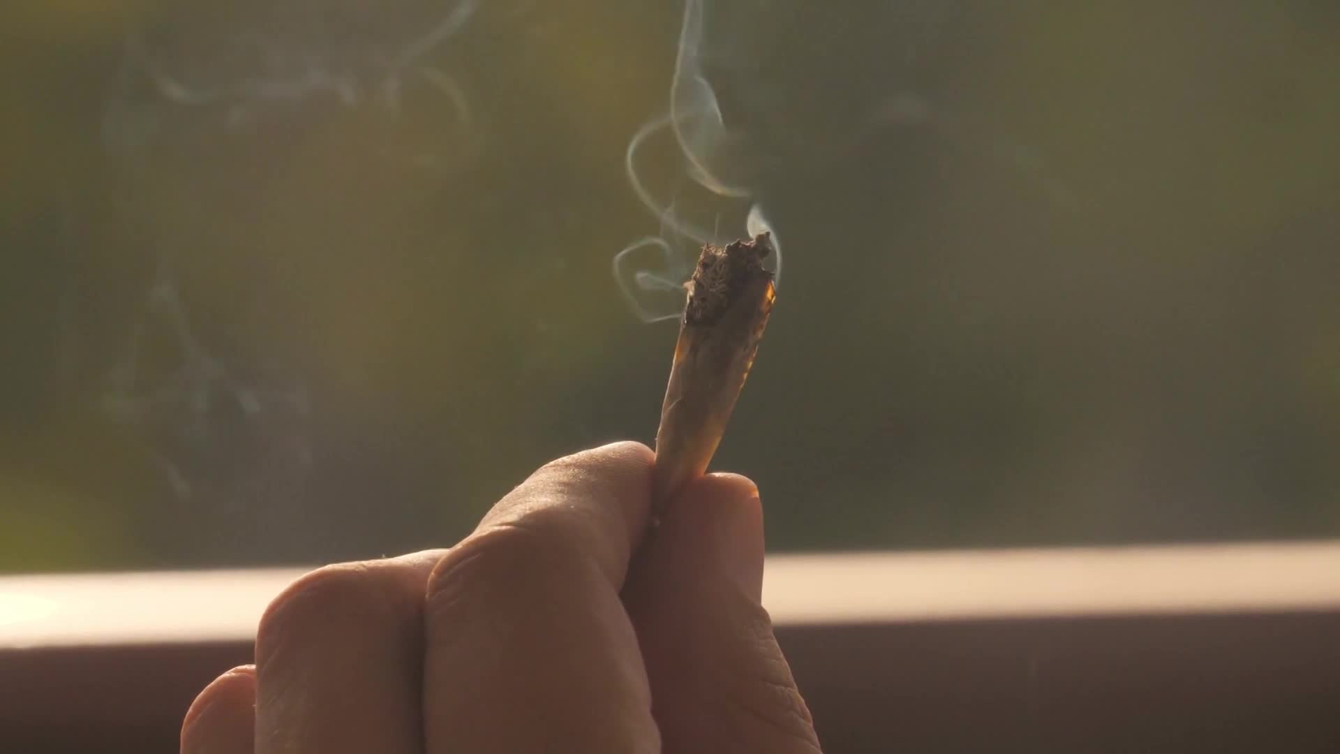 Thumbnail image for MCOL: Cannabis Approved in MD