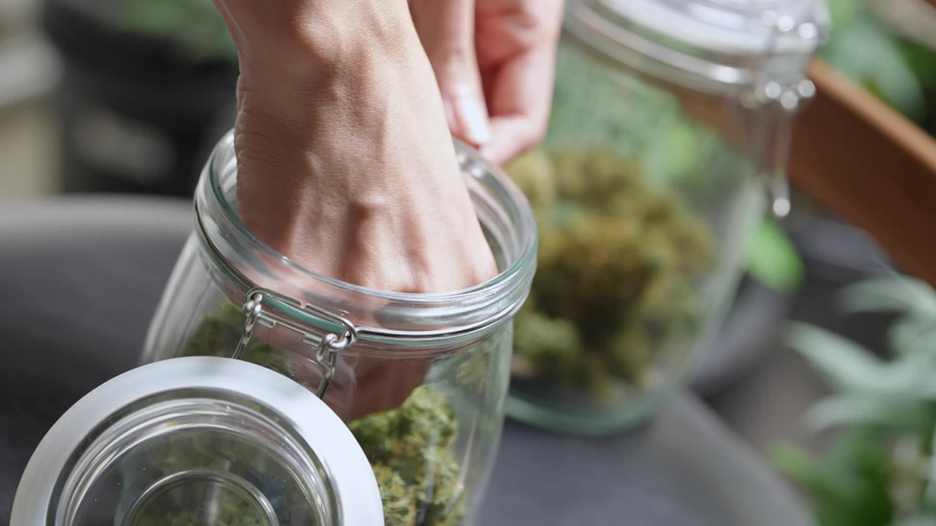 Thumbnail image for MCOL: Recreational Cannabis is Legal July 1st