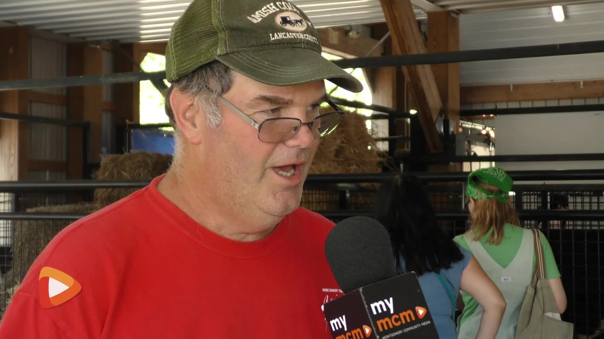 Thumbnail image for MCOL: County Ag Fair - New Calf