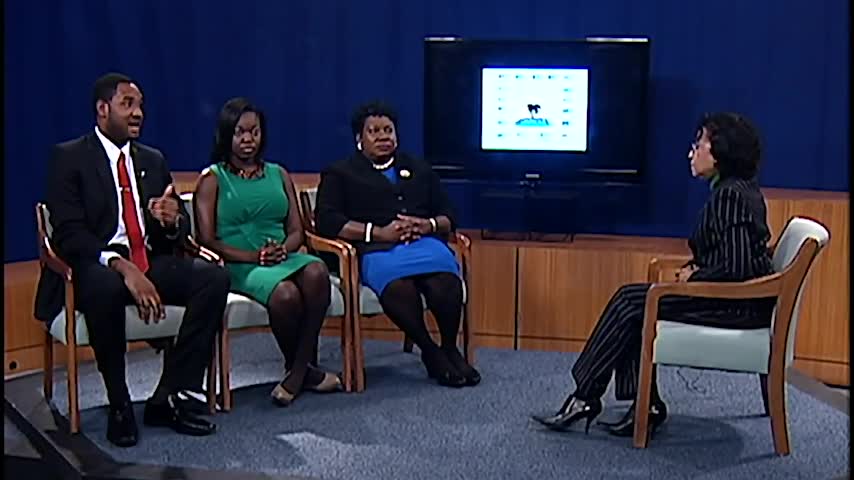 Thumbnail image for CaribNation