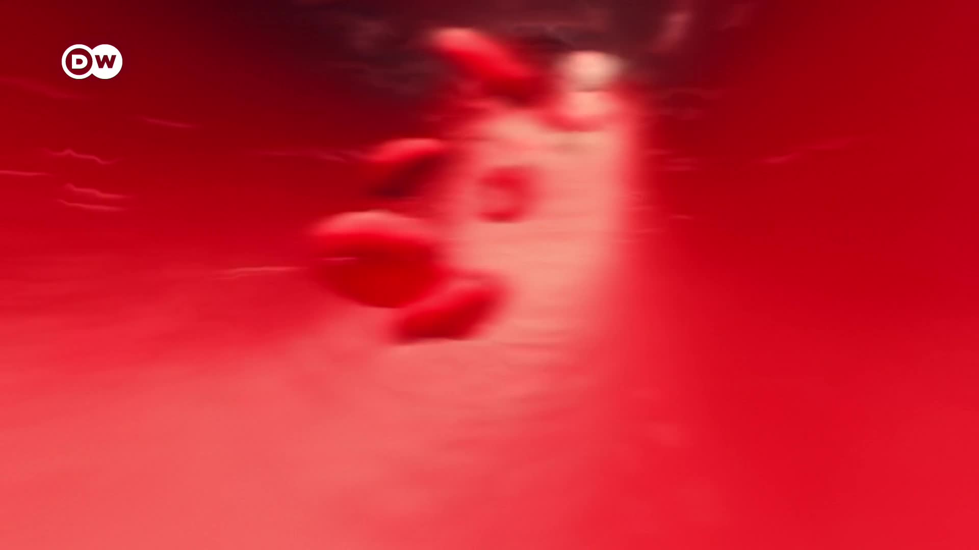 Thumbnail image for In Good Shape