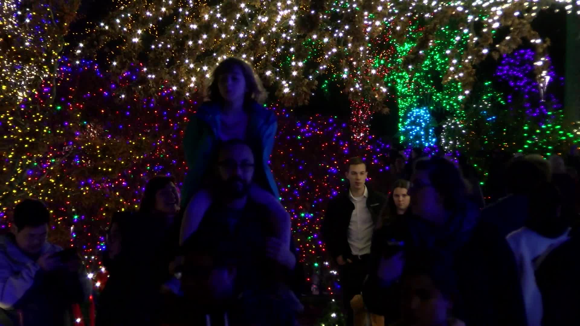 Thumbnail image for MCOL: Mormon Temple Festival of Lights