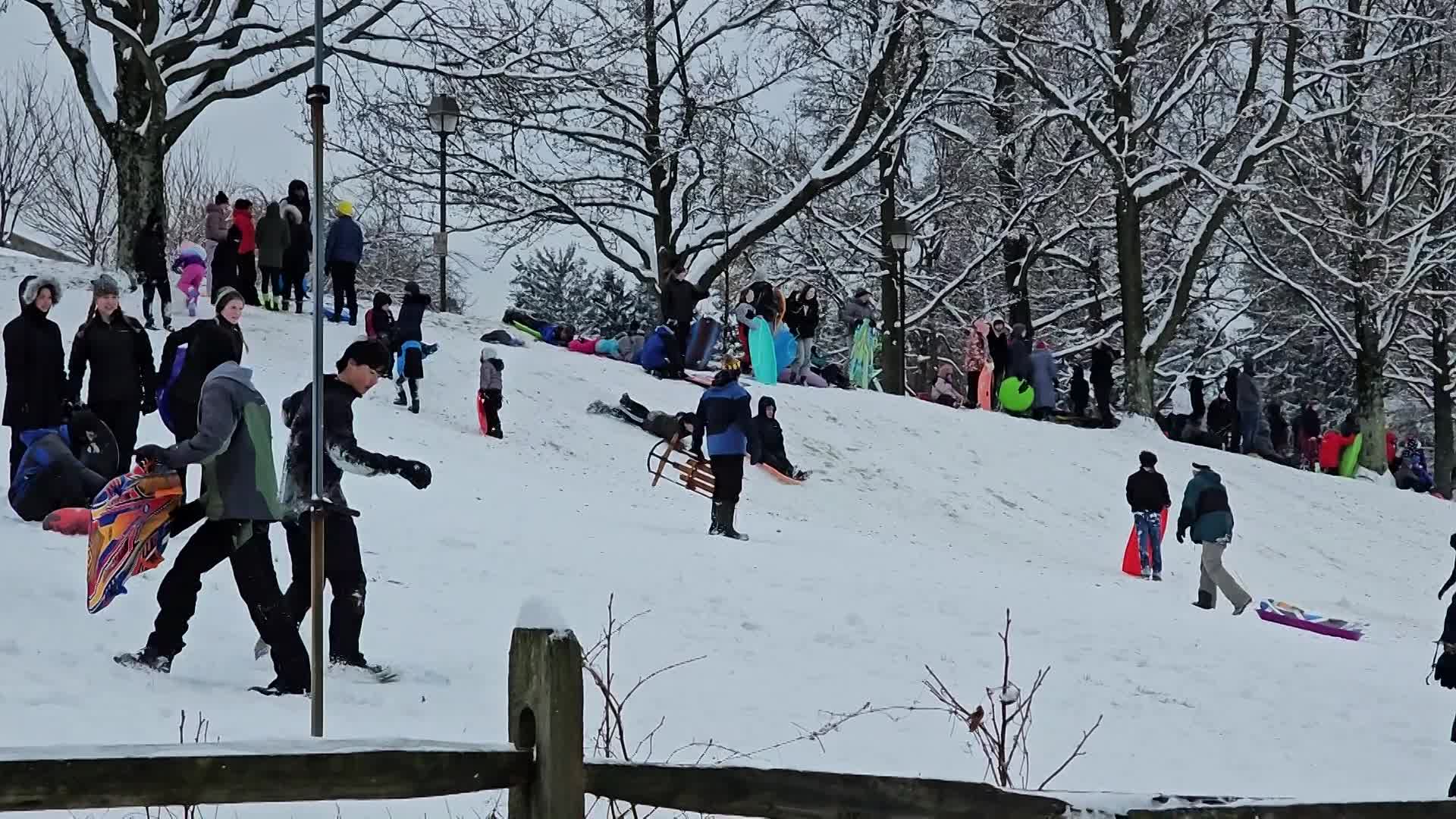 Thumbnail image for MCOL: Fun in the Snow
