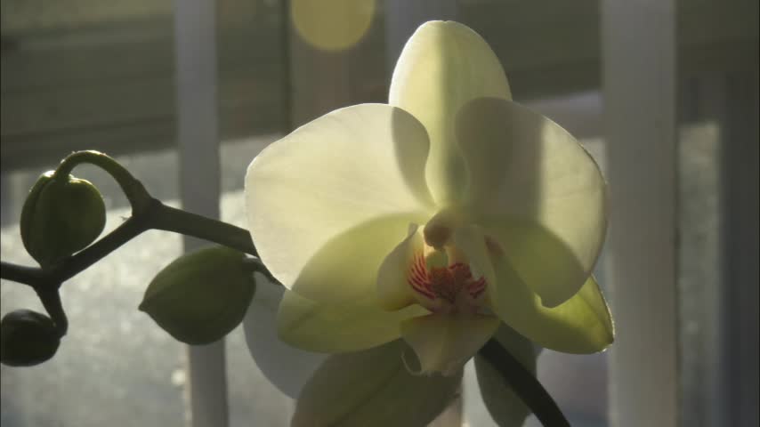 Thumbnail image for HIS GLORY