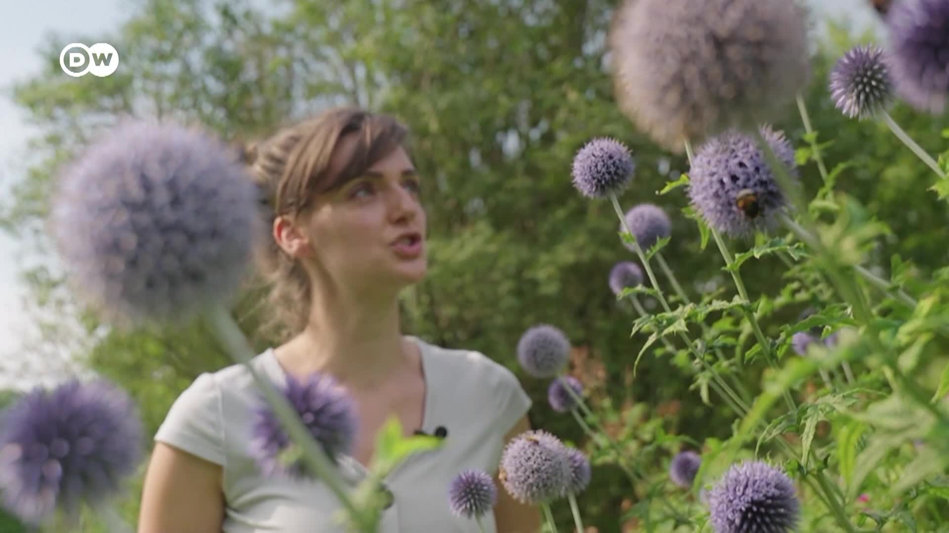 Thumbnail image for Tomorrow Today