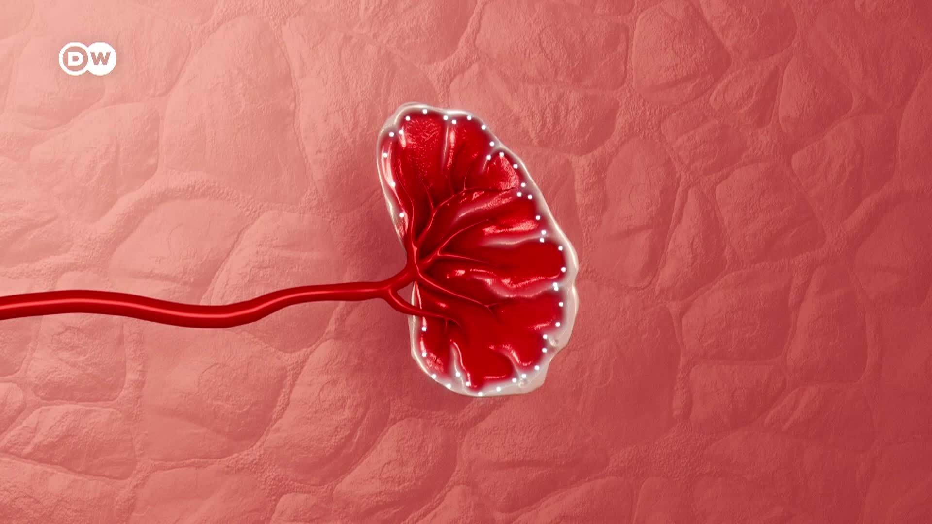 Thumbnail image for In Good Shape