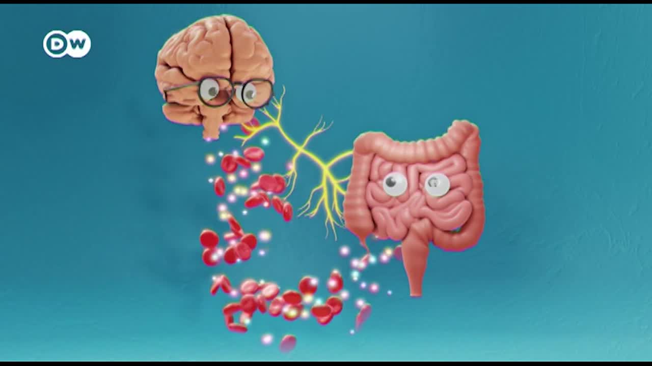 Thumbnail image for In Good Shape