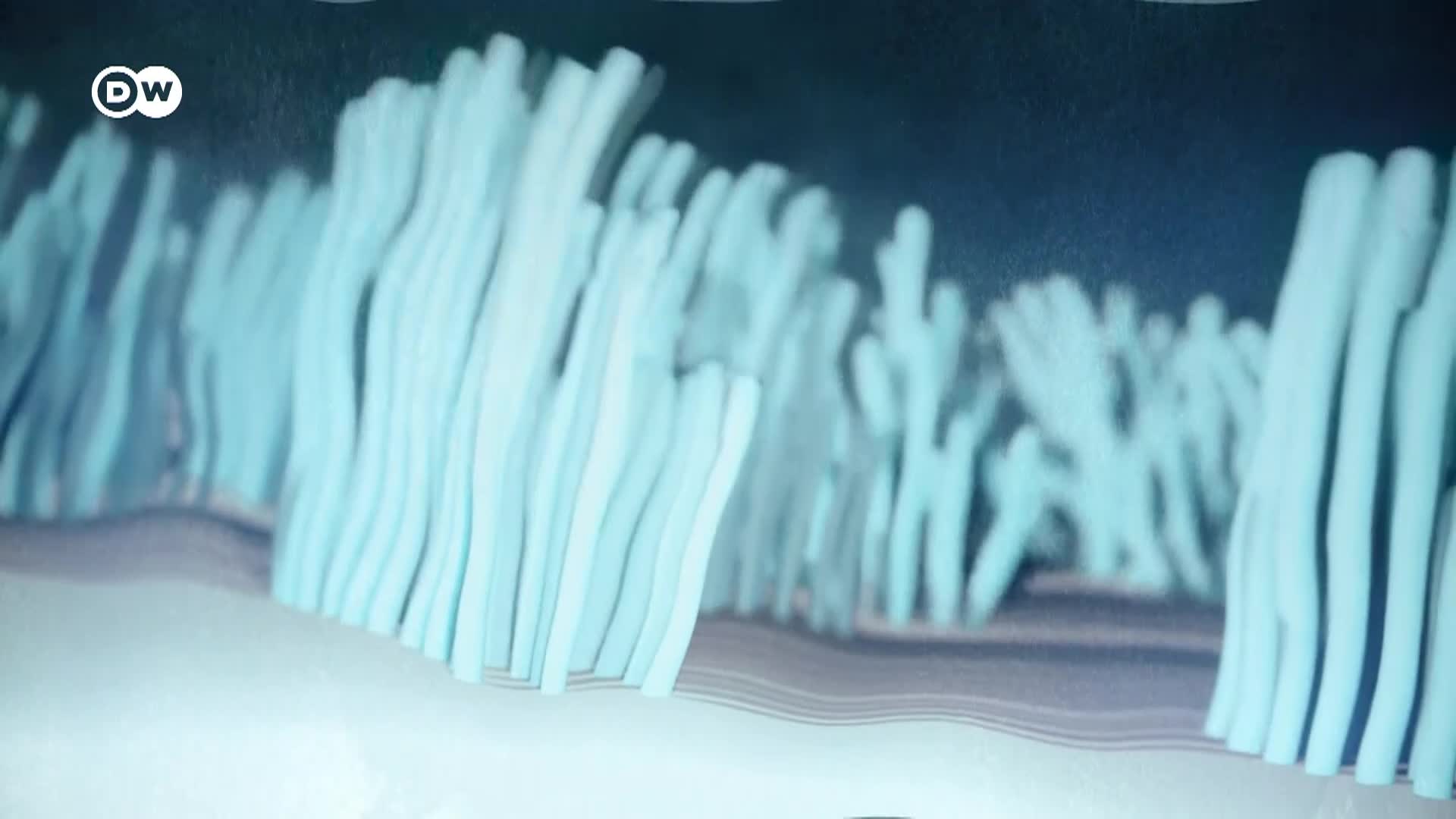 Thumbnail image for In Good Shape