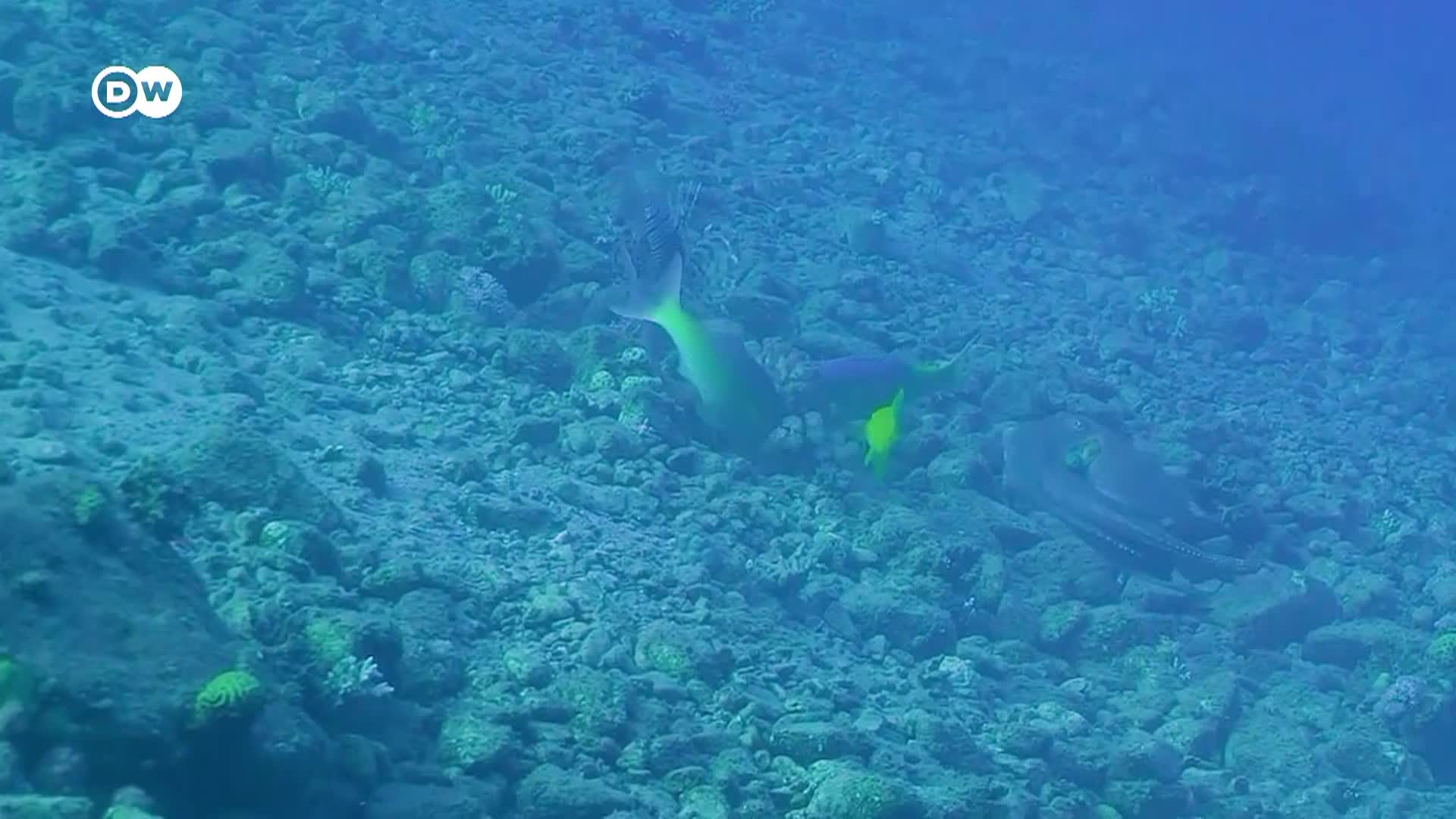 Thumbnail image for Tomorrow Today