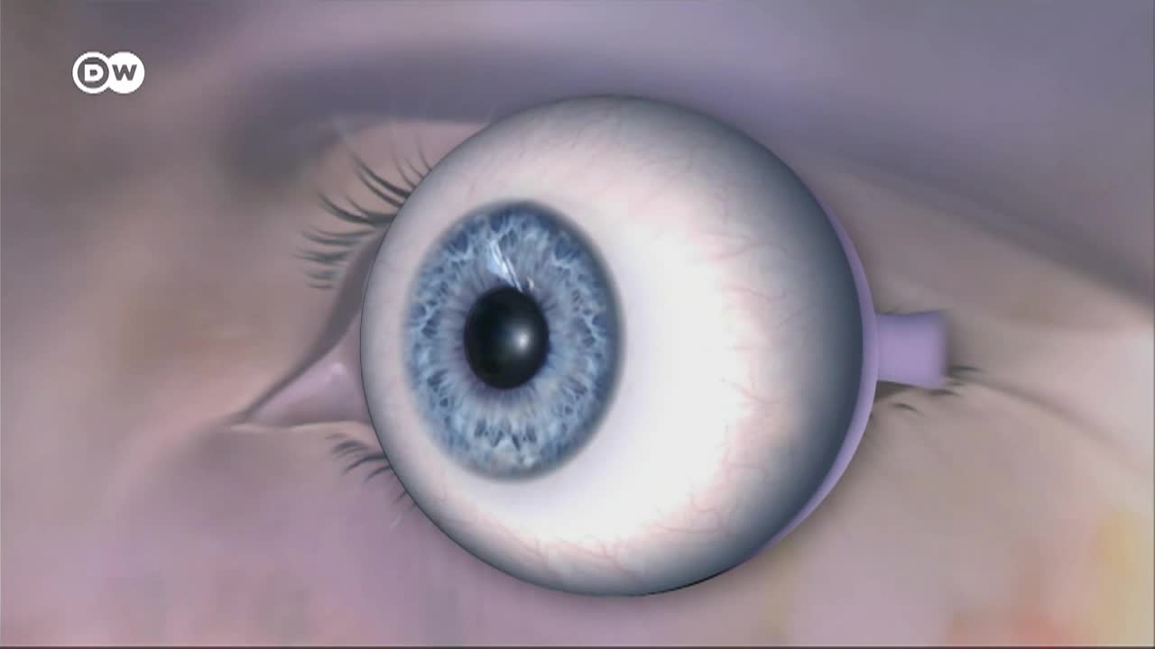 Thumbnail image for In Good Shape