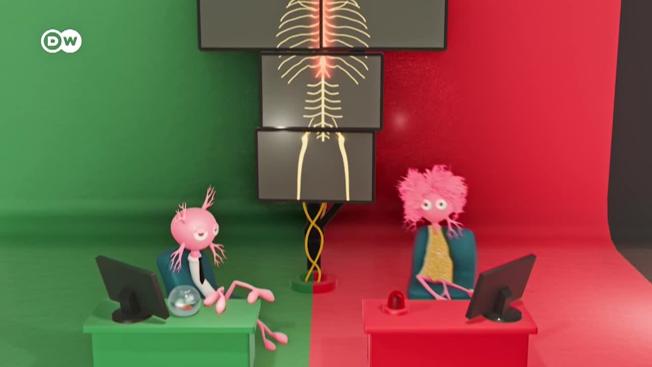 Thumbnail image for In Good Shape