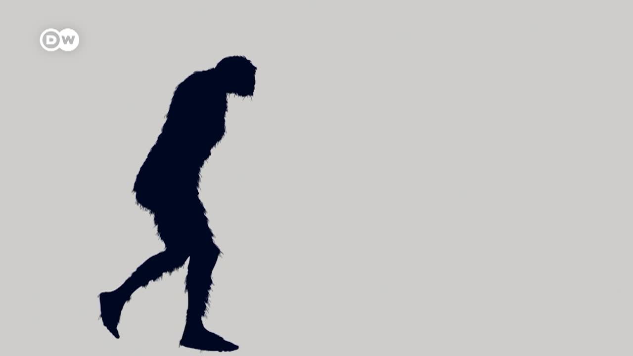 Thumbnail image for In Good Shape