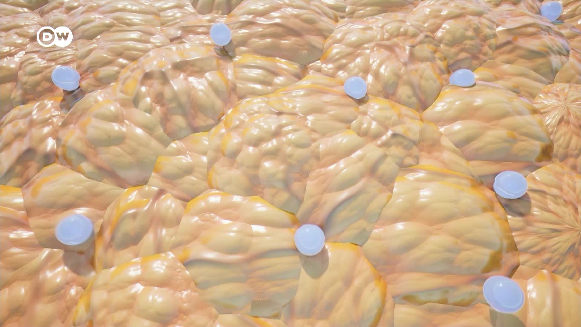 Thumbnail image for In Good Shape