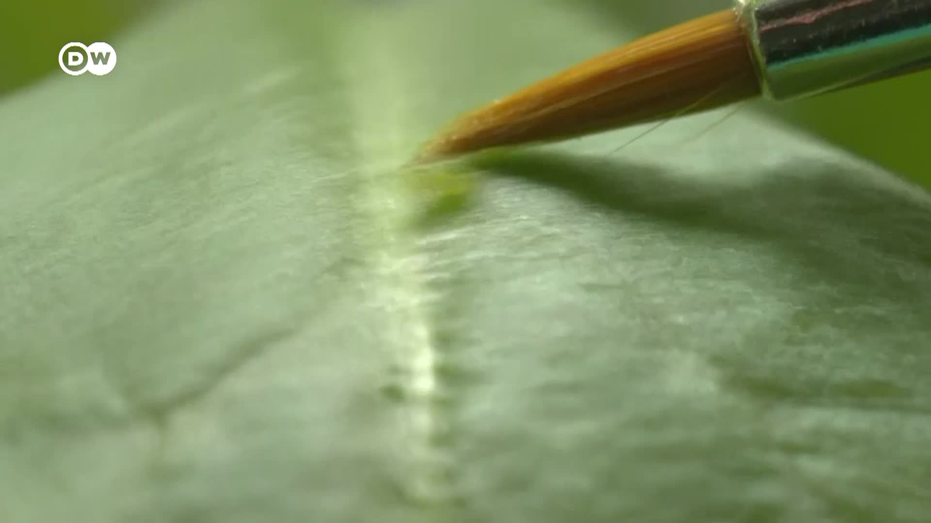 Thumbnail image for Tomorrow Today