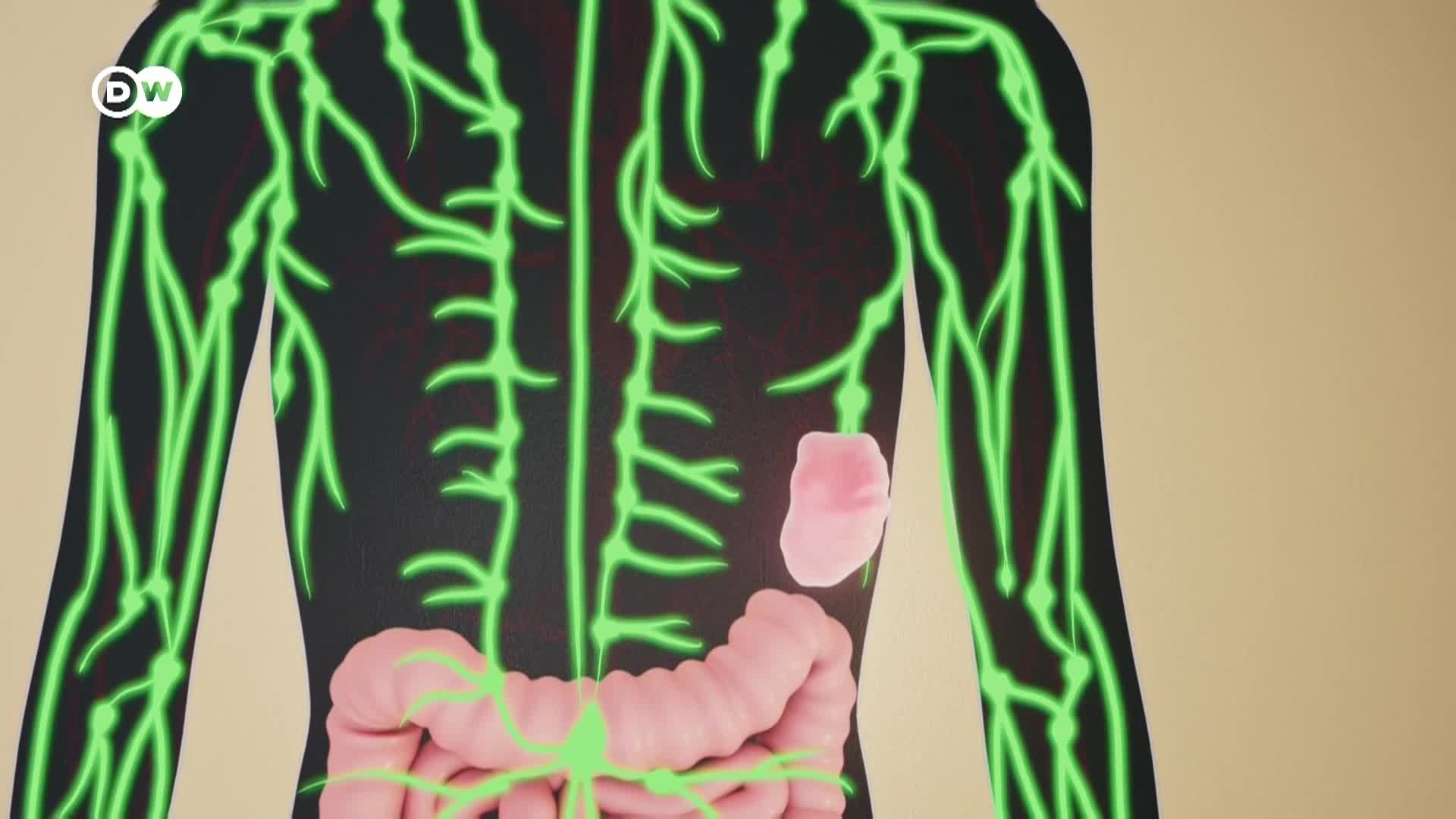 Thumbnail image for In Good Shape