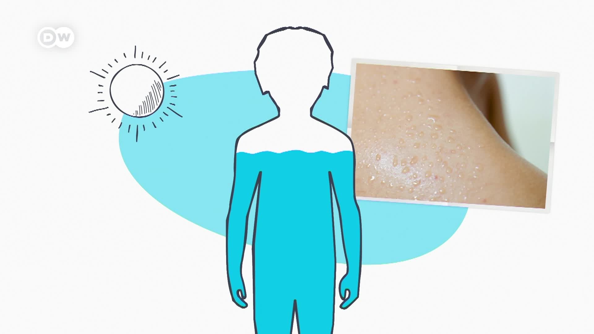 Thumbnail image for In Good Shape