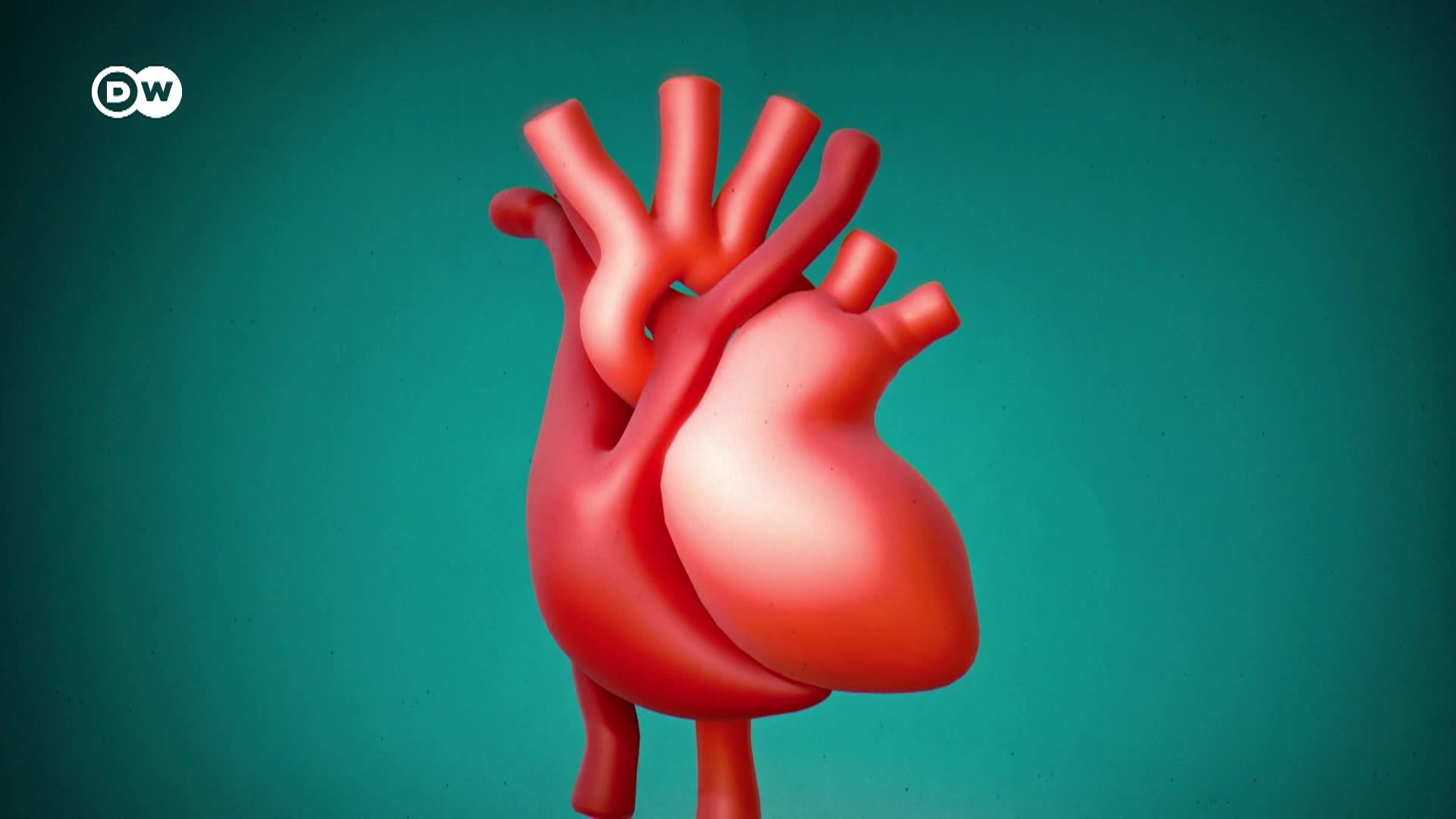 Thumbnail image for In Good Shape