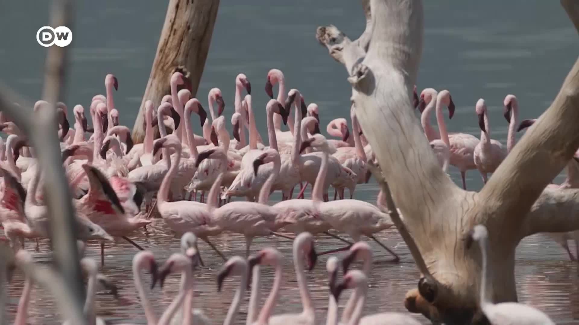 Thumbnail image for Tomorrow Today