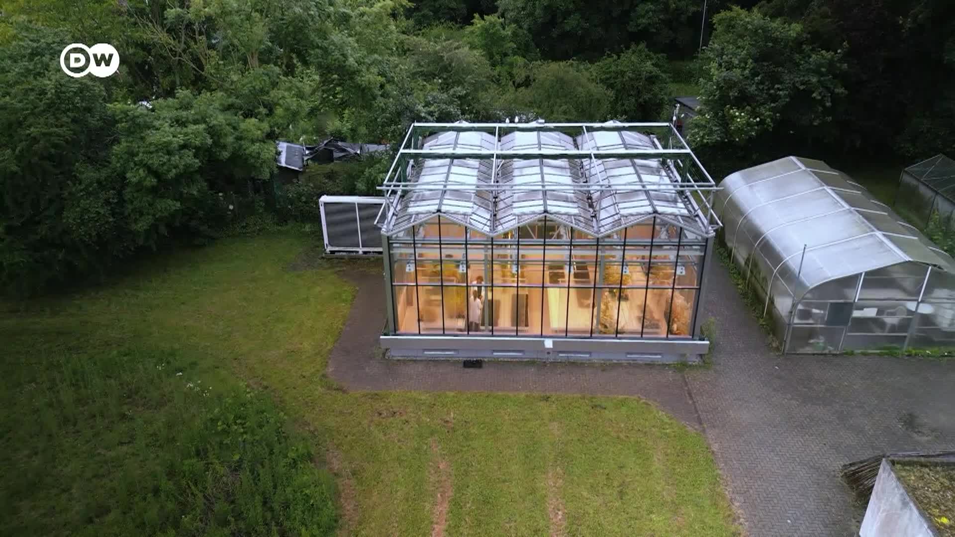 Thumbnail image for Tomorrow Today