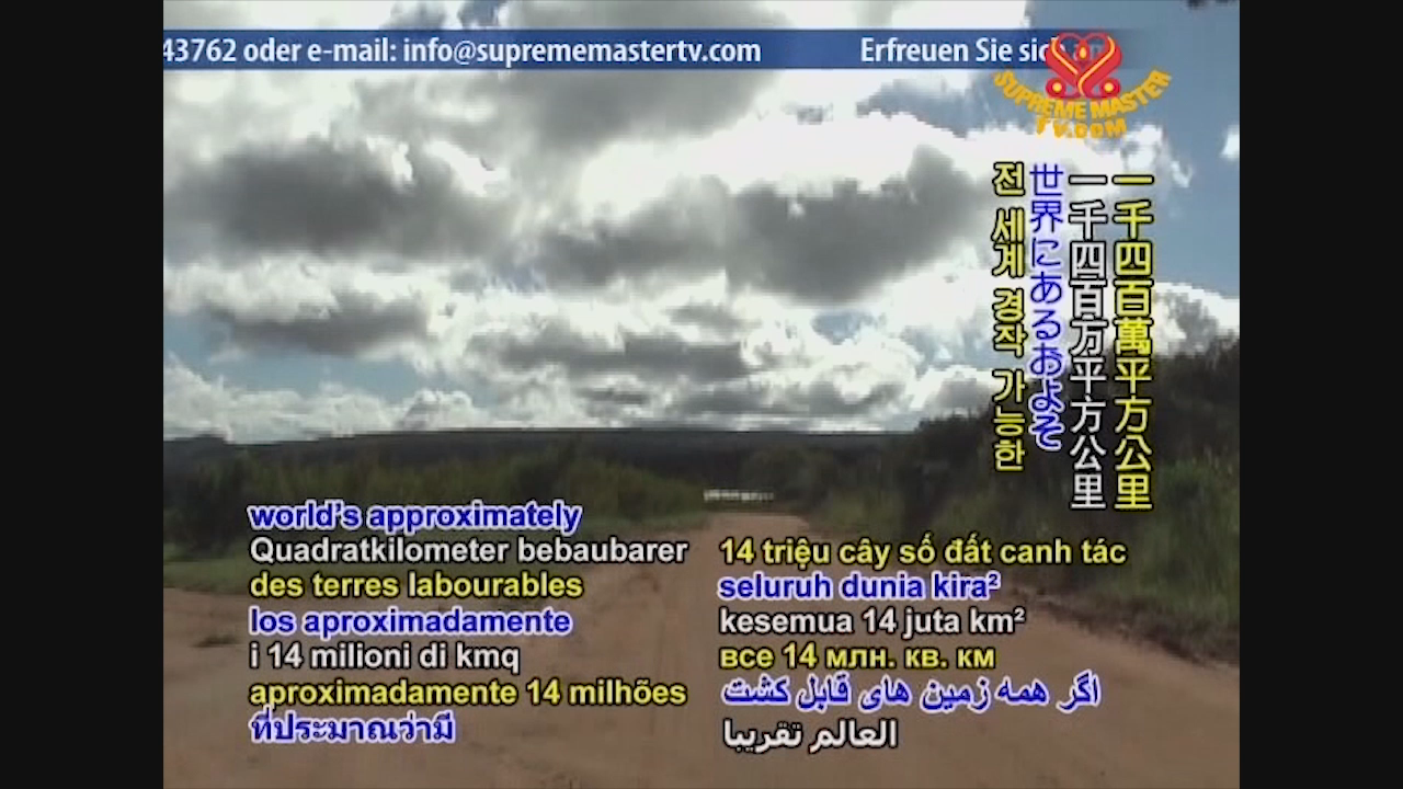 Thumbnail image for Vegetarianism, The Noble Way of Living