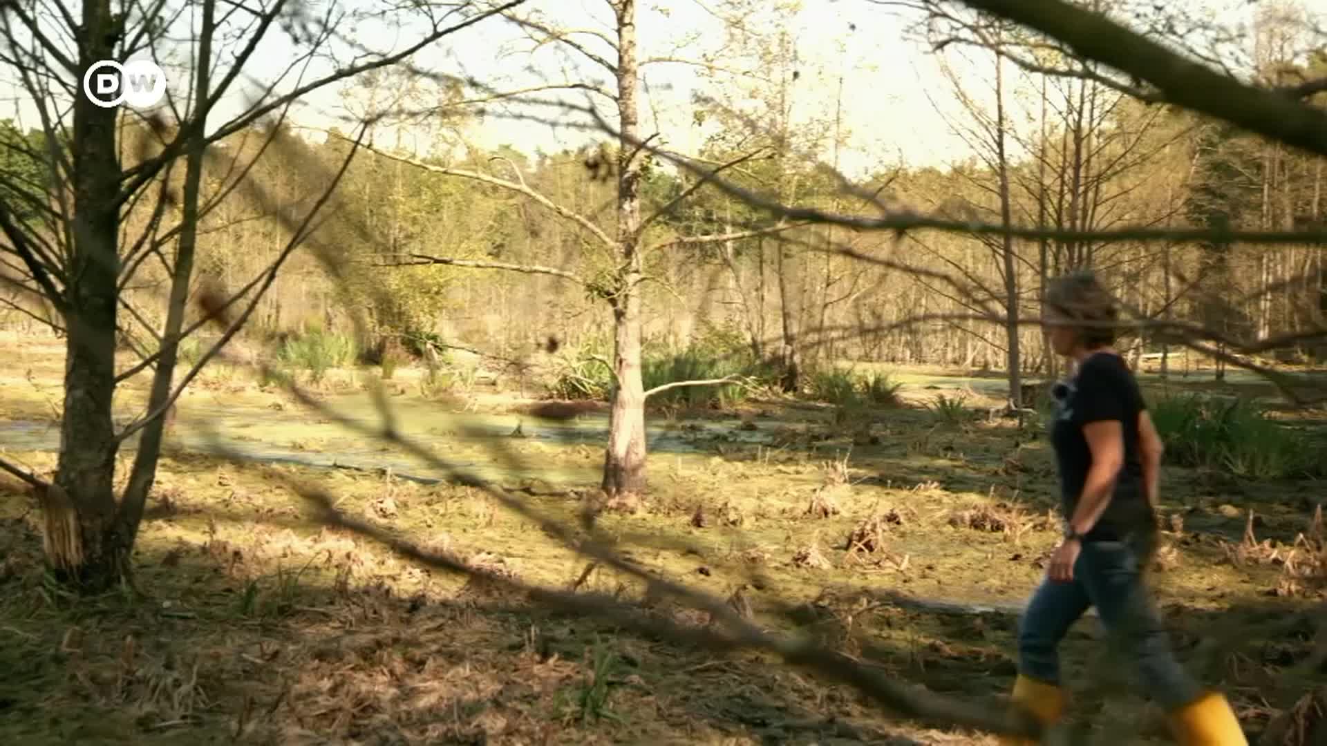 Thumbnail image for Tomorrow Today