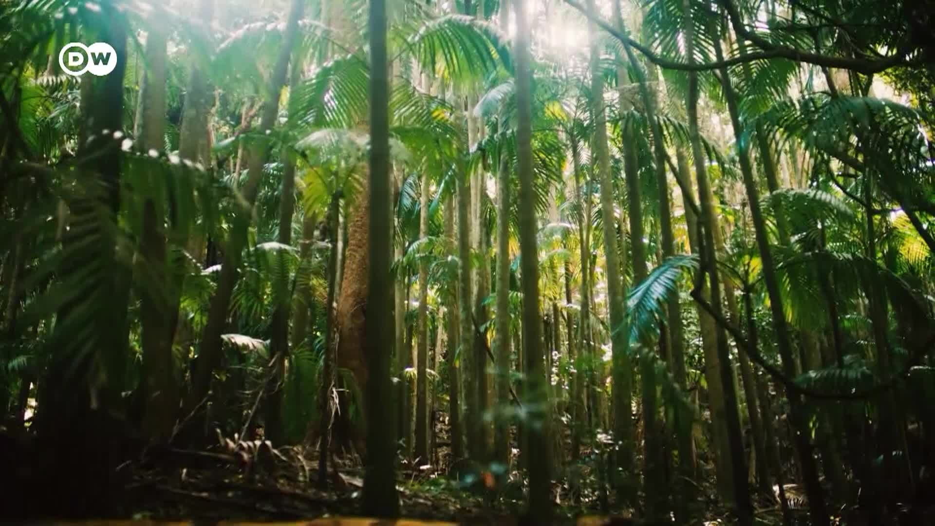 Thumbnail image for Tomorrow Today