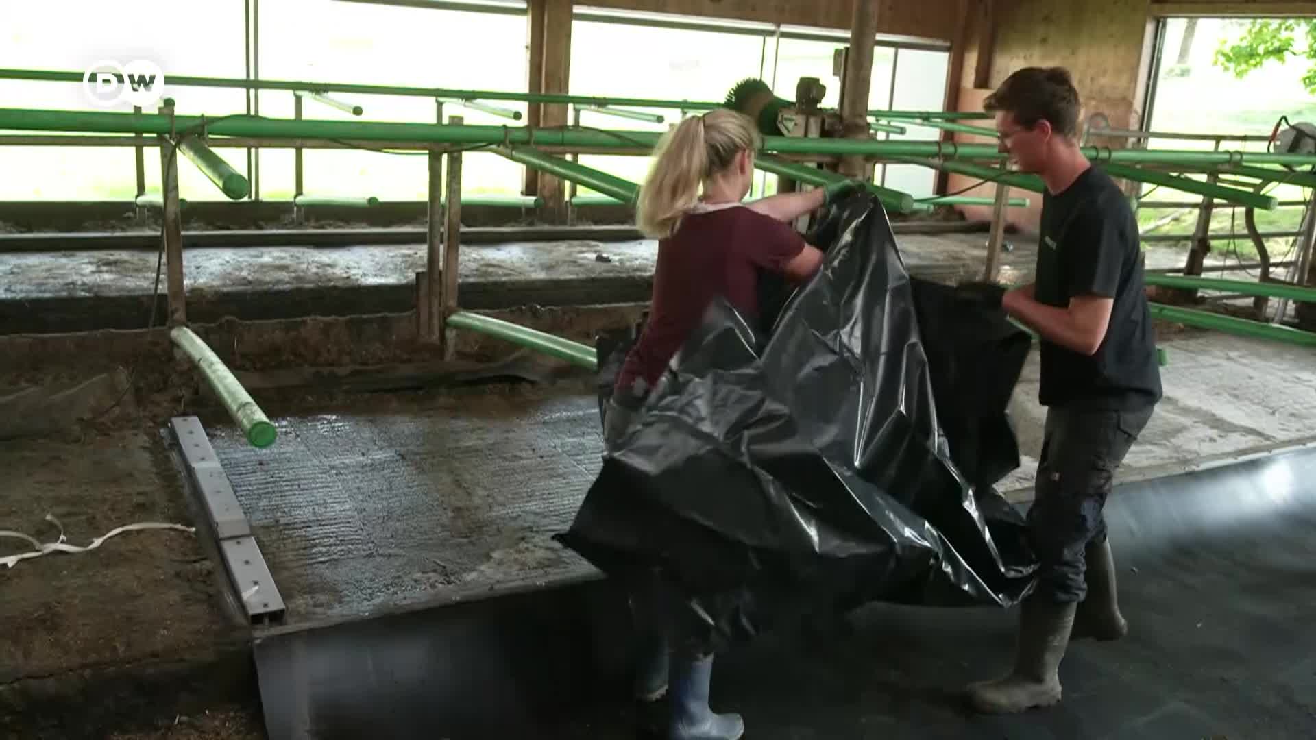 Thumbnail image for Tomorrow Today