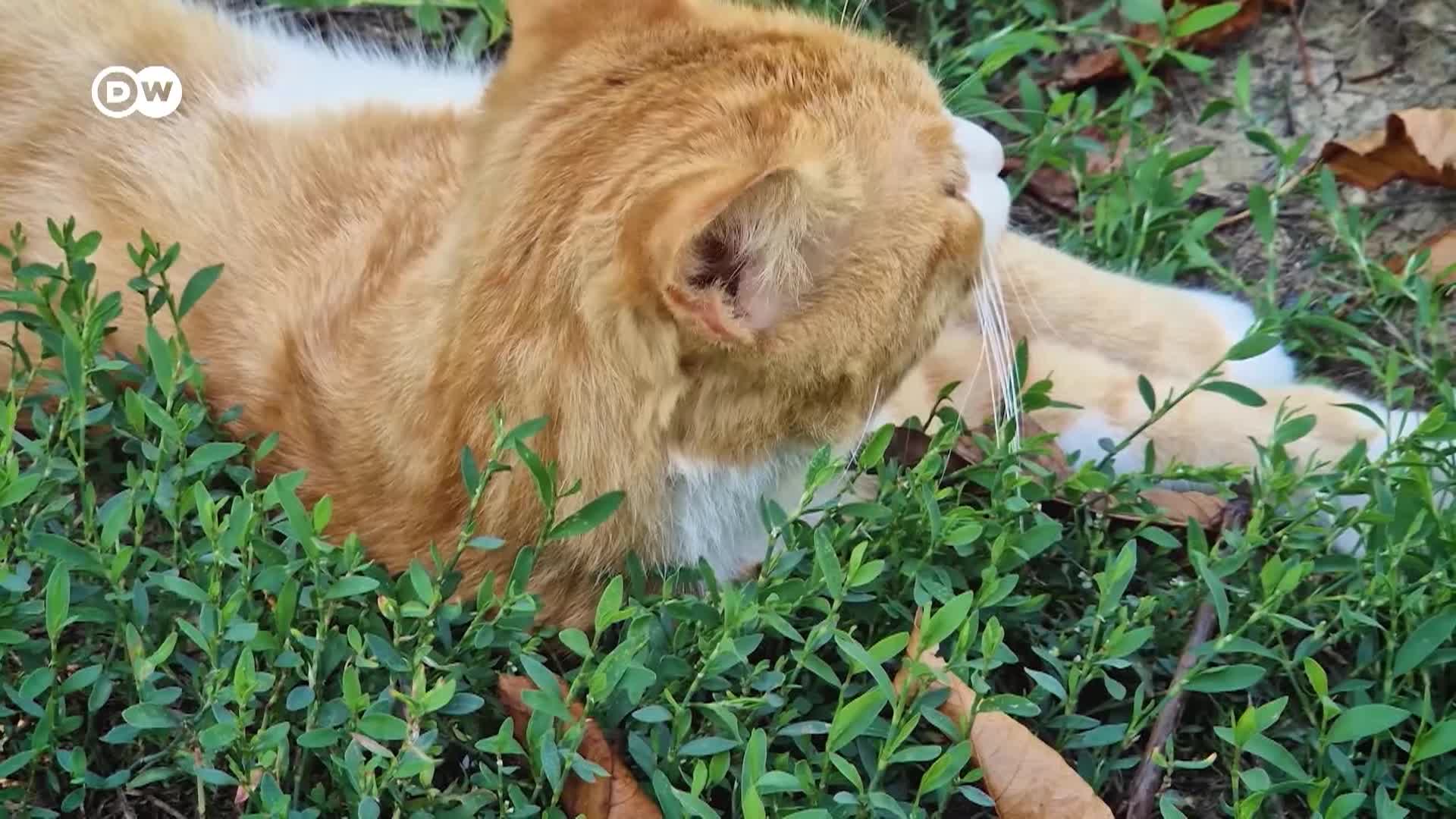 Thumbnail image for Tomorrow Today