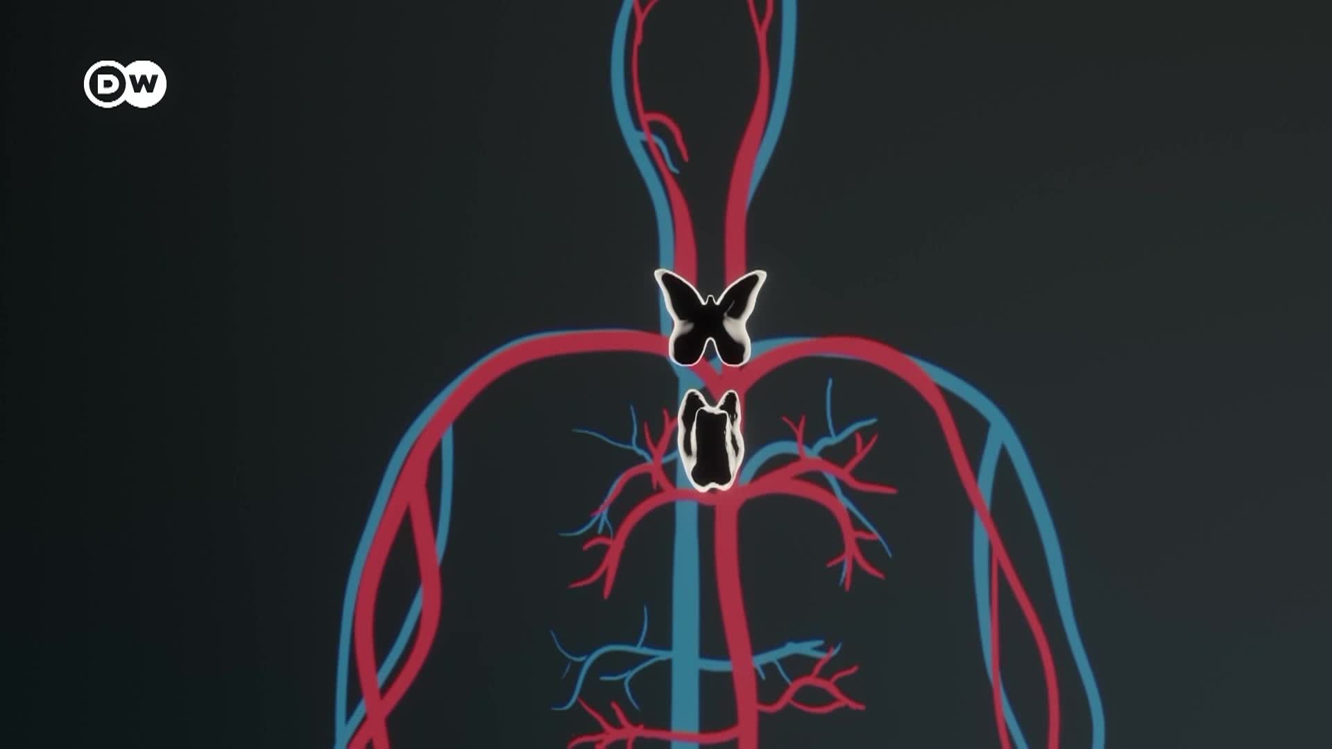 Thumbnail image for In Good Shape